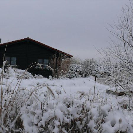 Ferienhaus Hohenlubast Grafenhainichen Esterno foto