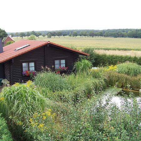 Ferienhaus Hohenlubast Grafenhainichen Esterno foto