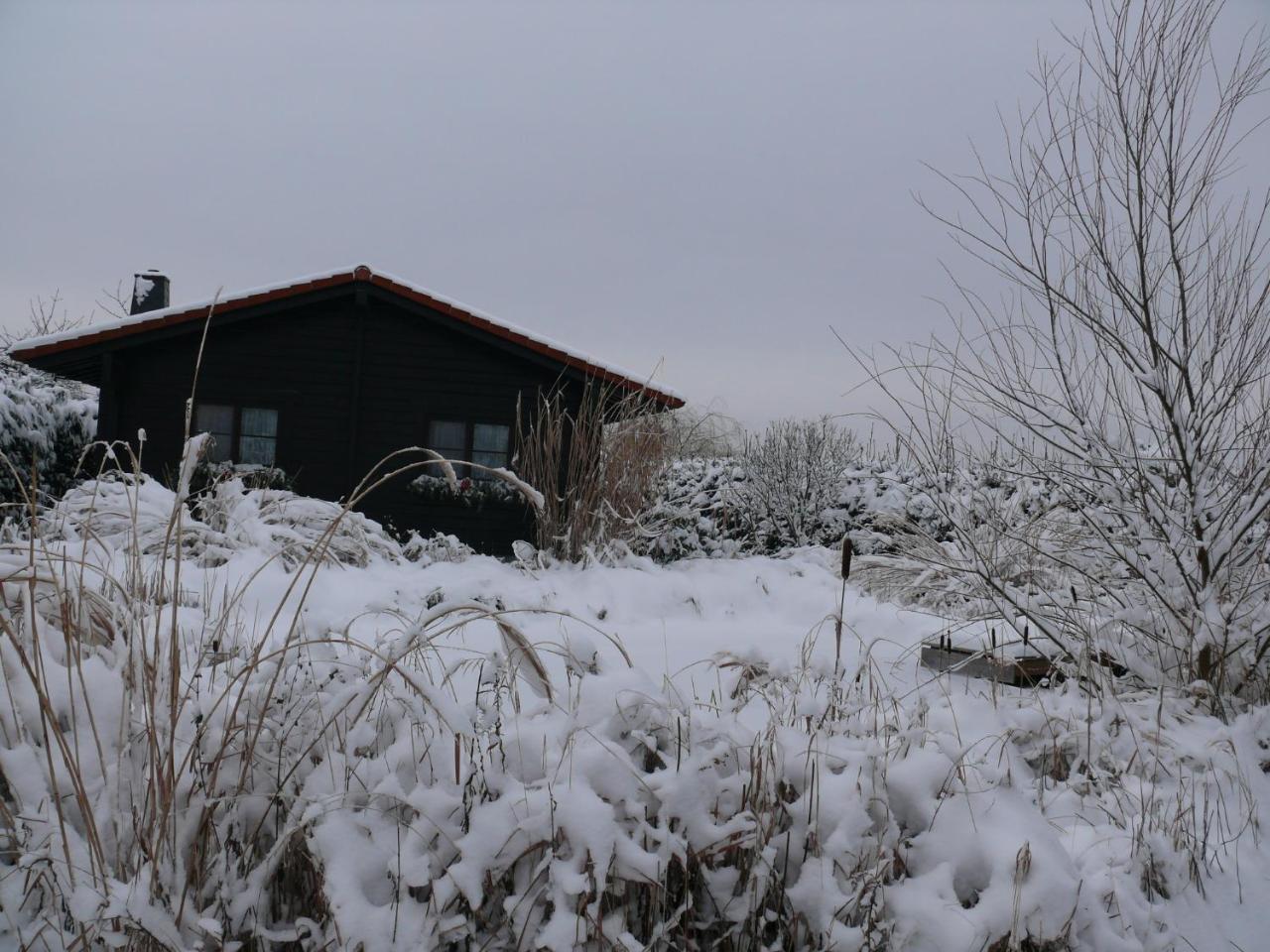 Ferienhaus Hohenlubast Grafenhainichen Esterno foto